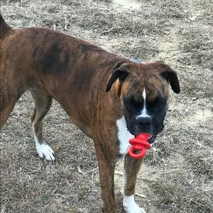 Meet your Posher, Frank